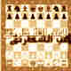 الصورة الرمزية لاعب الشطرنج